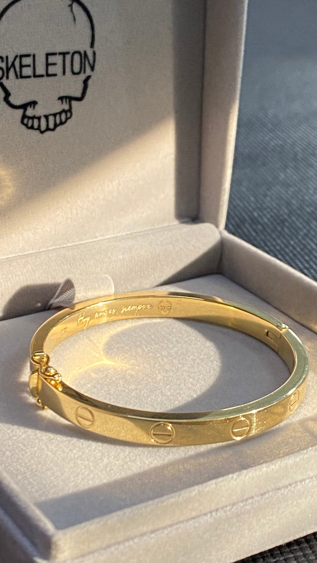 Cartier X Skeleron
